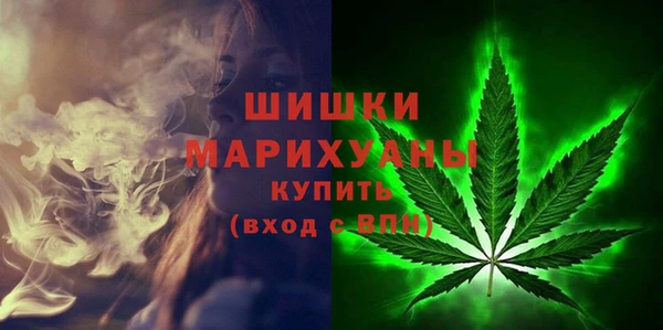 крисы Бугульма
