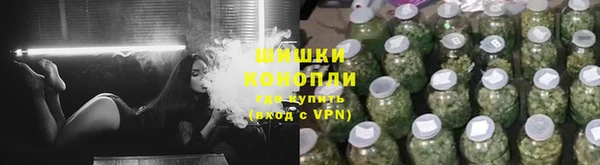 крисы Бугульма