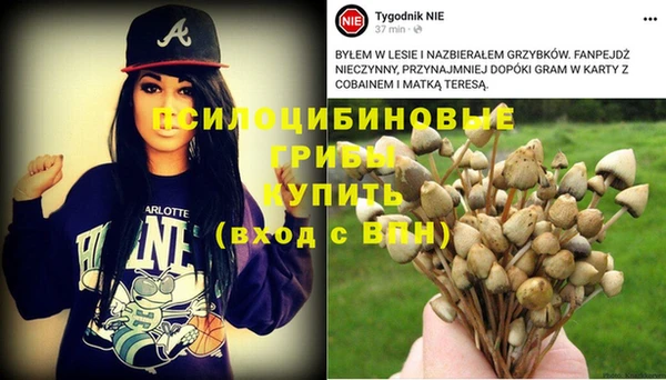 крисы Бугульма