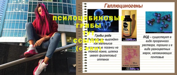 каннабис Бородино