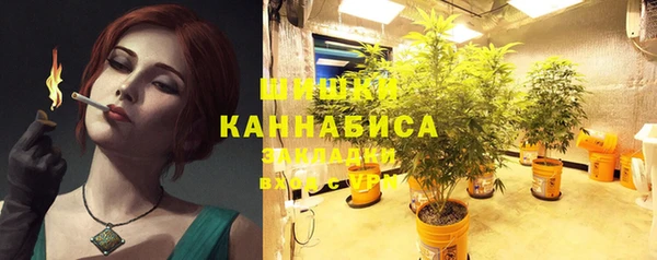 крисы Бугульма